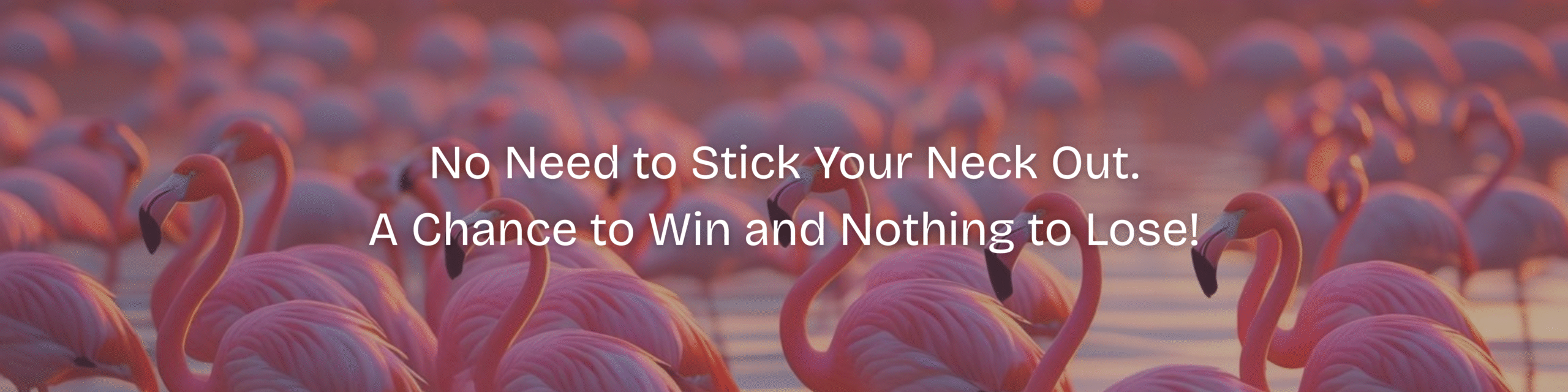 No Need to Stick Your Neck Out A Chance to Win. Nothing to Lose! No Need to Stick Your Neck Out A Chance to Win. Nothing to Lose!